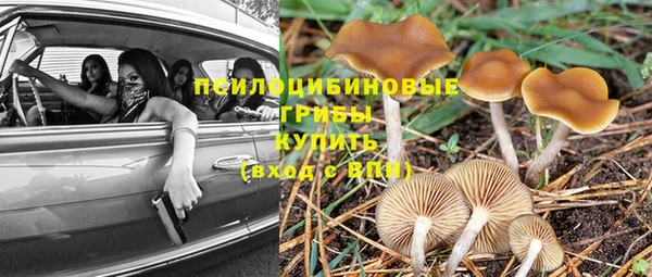 а пвп мука Алексеевка