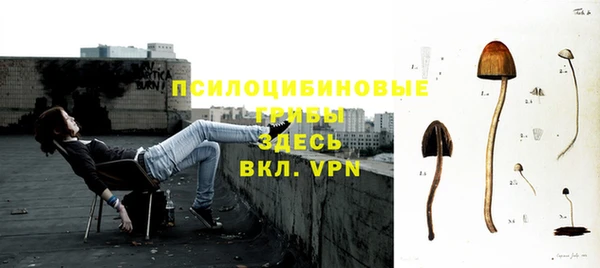 а пвп мука Алексеевка