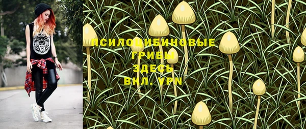 а пвп мука Алексеевка