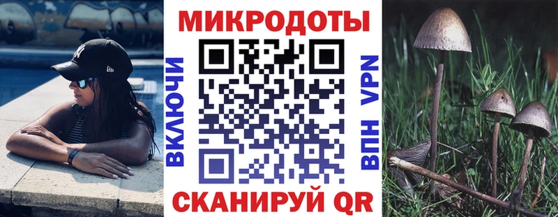 Галлюциногенные грибы прущие грибы  Алексин 